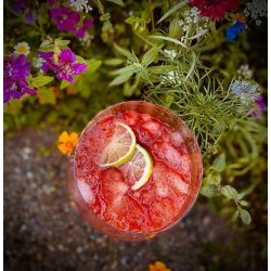 Mad Dogs <br><br> Jordbr shot <br><br> 700 ml <br><br> Perfekt til drinks <br><br> RESTSALG <br>