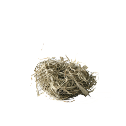 Majsblade | Lysegr | ca. 20 g i ps