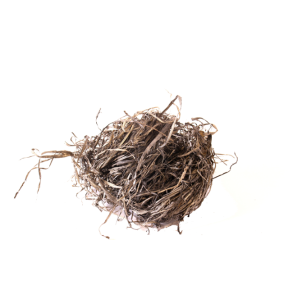 Majsblade | Mrkegr | ca. 20 g i ps