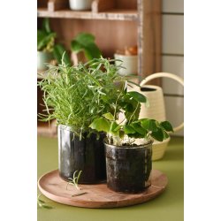 Marmeladeglas <br><br> 