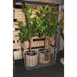 Firkantet trdkurv <br><br> maxi <br><br> L47 x B31 x H25 cm