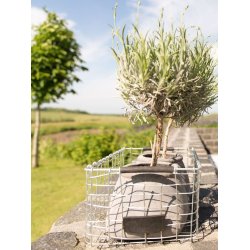 Firkantet trdkurv <br><br> maxi <br><br> L47 x B31 x H25 cm