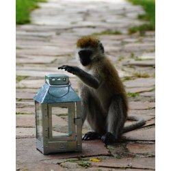 Micro lanterne <br><br> 12,5 x 12,5 x 25 cm <br><br> Galvaniseret <br><br> 