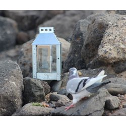 Micro lanterne <br><br> 12,5 x 12,5 x 25 cm <br><br> Galvaniseret <br><br> 