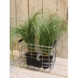 Firkantet trdkurv <br><br> mini <br><br> L21 x B17 x H17 cm