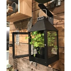 Vgophng <br><br> sort