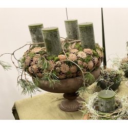 Austriaca rosekogle <br><br> 10 stk. <br><br>