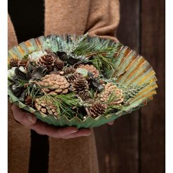 Austriaca rosekogle <br><br> 10 stk. <br><br>