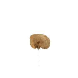 Natursvampe p� tr�d <br><br> 5 stk. <br><br>