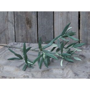 Fleur olivengren <br><br> 66 cm <br><br>