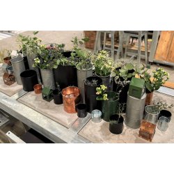 Vaser <br><br> vlg variant