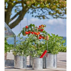 Urtepotter <br><br> vlg variant