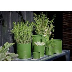 Urtepotter <br><br> vlg variant