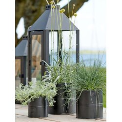 Urtepotter <br><br> vlg variant