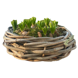 Rattan bowle <br><br> St m. 2 str. <br><br> 