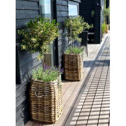 Rattan kurv <br><br> firkantet - maxi