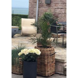 Rattan kurv <br><br> firkantet - maxi