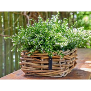 Rattan bowle <br><br> mini -firkantet <br><br> 30/34 x 30/34 cm <br><br>
