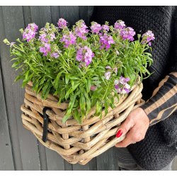 Rattan bowle <br><br> mini -firkantet <br><br> 30/34 x 30/34 cm <br><br>