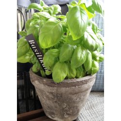 Roma potte <br><br> st  2 stk <br>  13 og 16 cm <br><br> gr <br><br> 