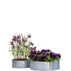 Rund plantebakke <br><br> galvaniseret <br><br> Mini - 25 x H9 cm