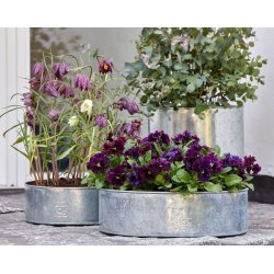 Rund plantebakke <br><br> galvaniseret <br><br> Mini - 25 x H9 cm
