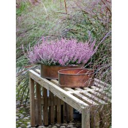 Rund plantebakke <br><br> kobber look <br><br> Mini - 25 x H9 cm <br><br>