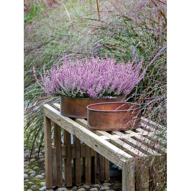 Rund plantebakke <br><br> kobber look <br><br> Midi - Ø35 x H10 cm <br><br>