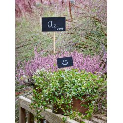 Rund plantebakke <br><br> kobber look <br><br> Mini - 25 x H9 cm <br><br>