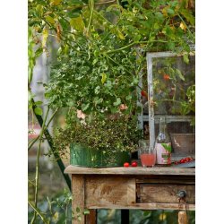 Rund plantebakke <br><br> oliven <br><br> Mini - 25 x H9 cm