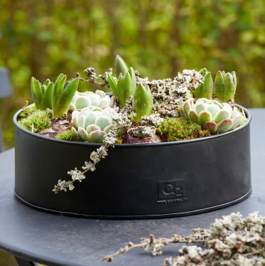 Potter | Vaser | Plantebakker