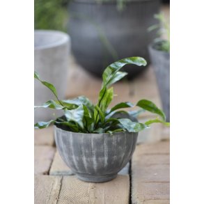 Skjuler m. brede riller <br><br> lille <br><br> gr/zink <br><br> 