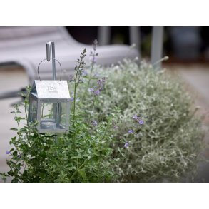 Spyd - 50 cm <br><br> Galvaniseret <br><br> til hngelanterner <br><br>