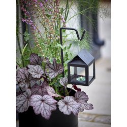 Spyd - 50 cm <br><br> Sort <br><br> til hngelanterner <br><br>