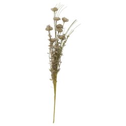 Stilkeblomst <br><br> gr�/gr�nne nuancer <br><br> 