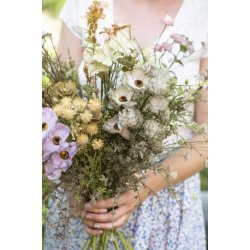 Stilkeblomst <br><br> gr�/gr�nne nuancer <br><br> 