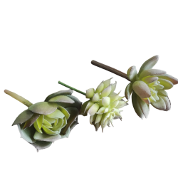 Sukkulenter /huslg <br><br> 3 stk. i ps.<br><br> Perfekt til dekorationer <br><br> 