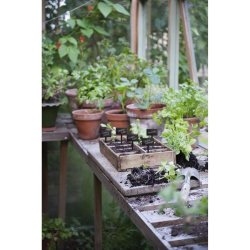 5-pk. kridttavler m. spyd <br><br> inkl. 1 stk markerpen <br><br> Securit