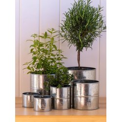 Urtepotter Galvaniseret <br><br> rund <br><br> v�lg variant <br><br>
