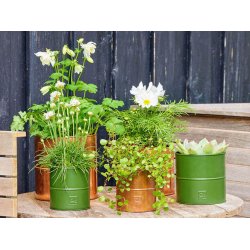 Urtepotter <br><br> oliven <br><br> St af 3 str. <br><br>