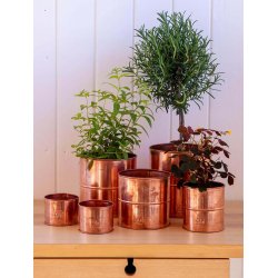 Urtepotter Kobber <br><br> rund <br><br> v�lg variant <br><br>