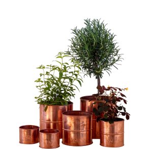Urtepotter Kobber <br><br> rund <br><br> v�lg variant <br><br>