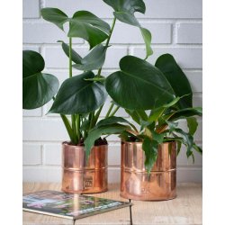 Urtepotter Kobber <br><br> rund <br><br> v�lg variant <br><br>