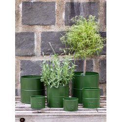Urtepotter Oliven <br><br> rund <br><br> v�lg variant <br><br> 