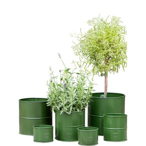 Urtepotter Oliven <br><br> rund <br><br> v�lg variant <br><br> 