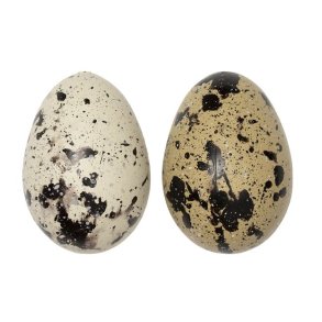 Plastik h�nse�g <br> <br> 6 cm <br><br> 2 stk <br><br> 