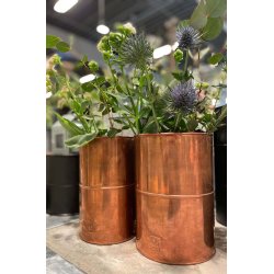 Vaser <br><br> vlg variant