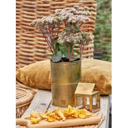 Vaser <br><br> kobber/messing-look <br><br>  st m. 2 str. <br><br> 