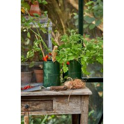 Vaser <br><br> vlg variant