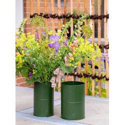 Vaser <br><br> vlg variant